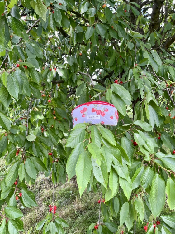 Piórnik w truskawki