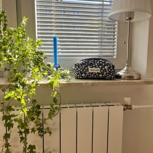 Piórnik granatowa aura